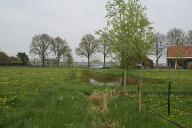 Boerderijtuin/boerenerf, Etten Leur