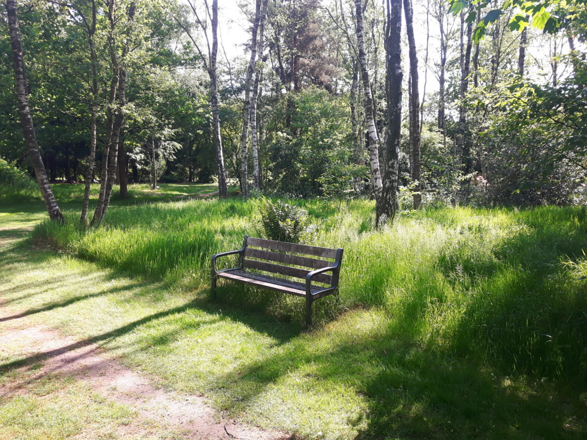 Urnenbos als onderdeel van Begraafplaats Zuiderhof
