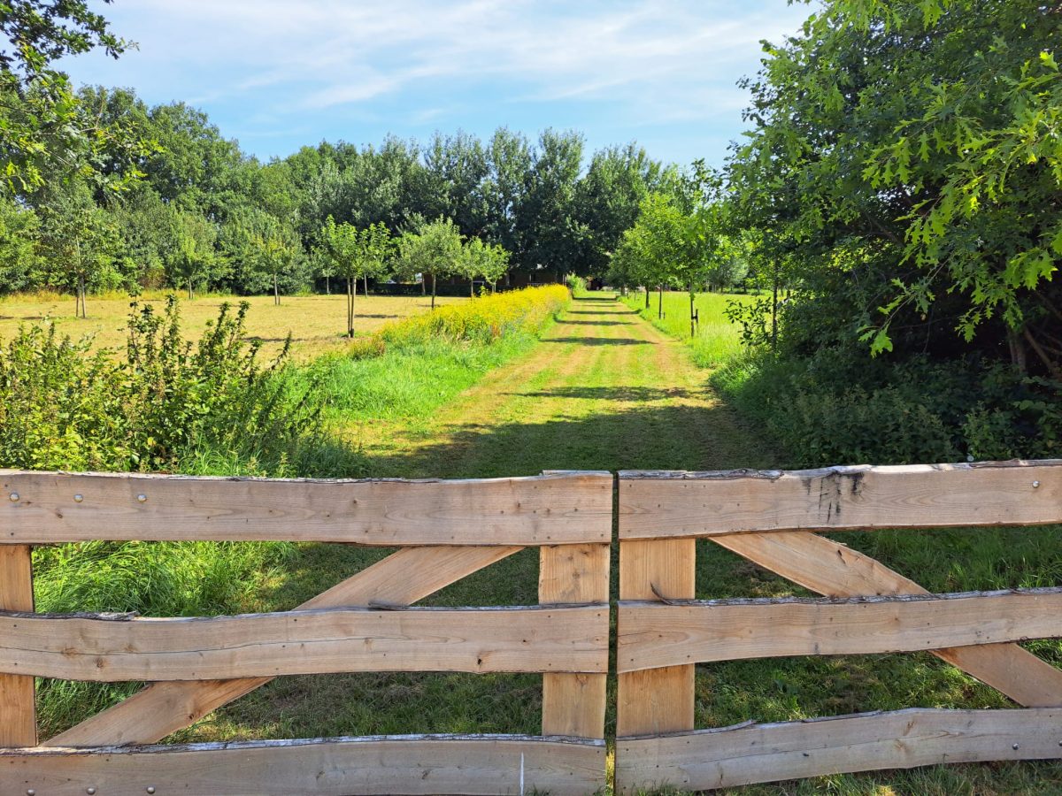 Boerderijtuin als landgoed